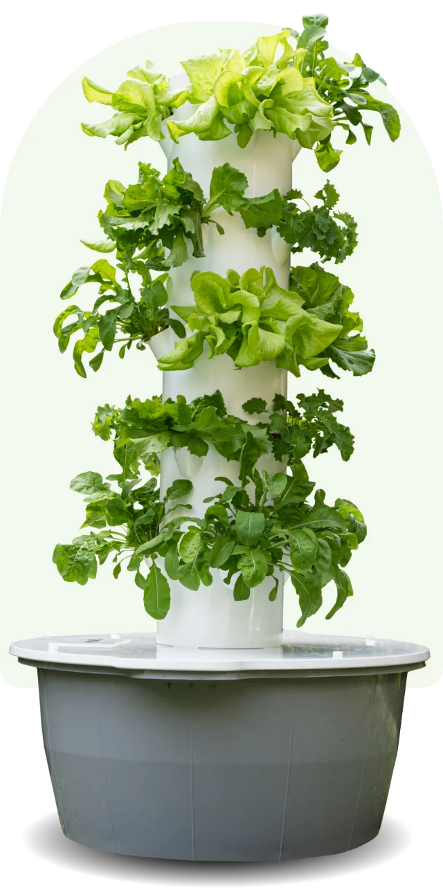 🌱 Torre Hidropónica Vertical – 24 Plantas